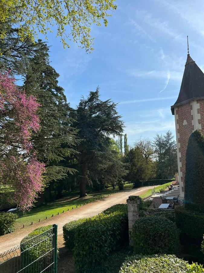 Chateau Des Basses Roches La Chaussee-Saint-Victor Exterior photo