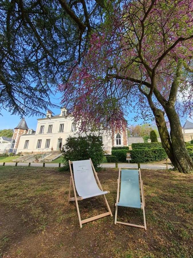 Chateau Des Basses Roches La Chaussee-Saint-Victor Exterior photo