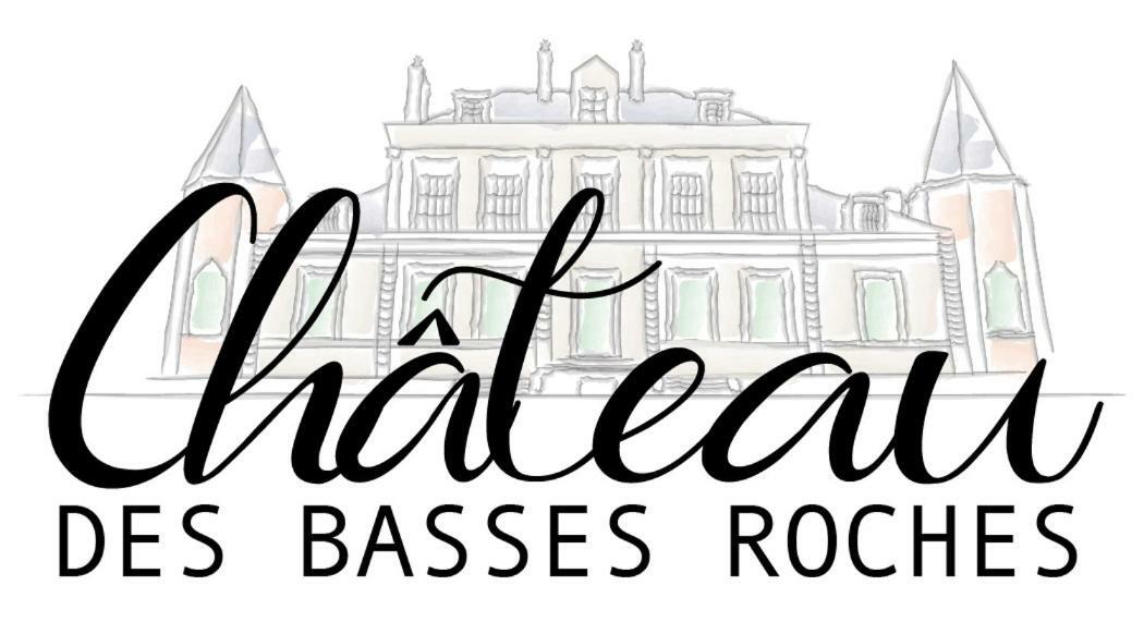 Chateau Des Basses Roches La Chaussee-Saint-Victor Exterior photo
