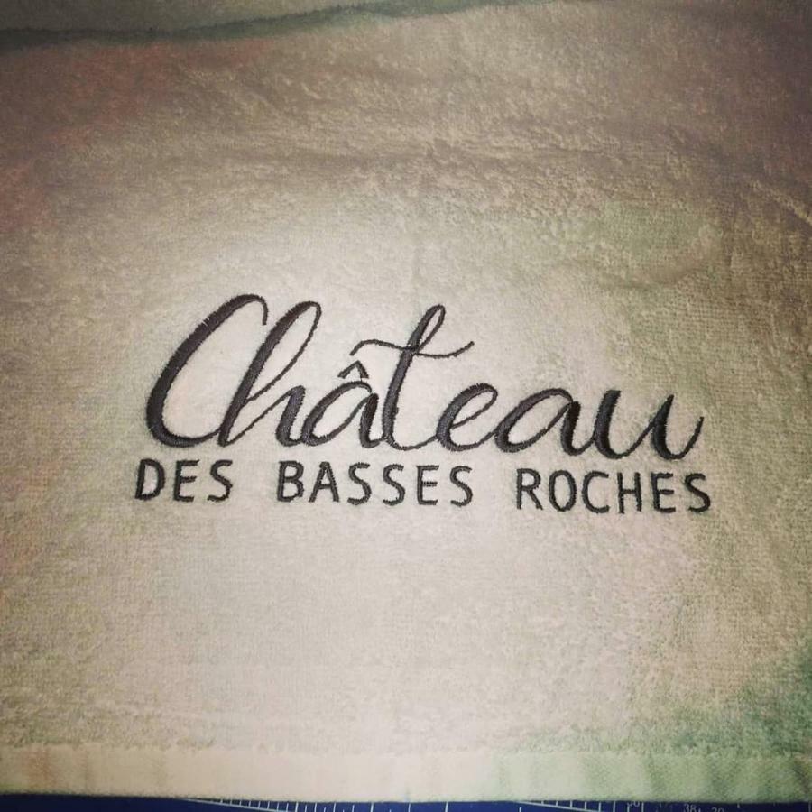 Chateau Des Basses Roches La Chaussee-Saint-Victor Exterior photo